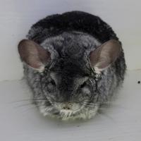 Kerioth